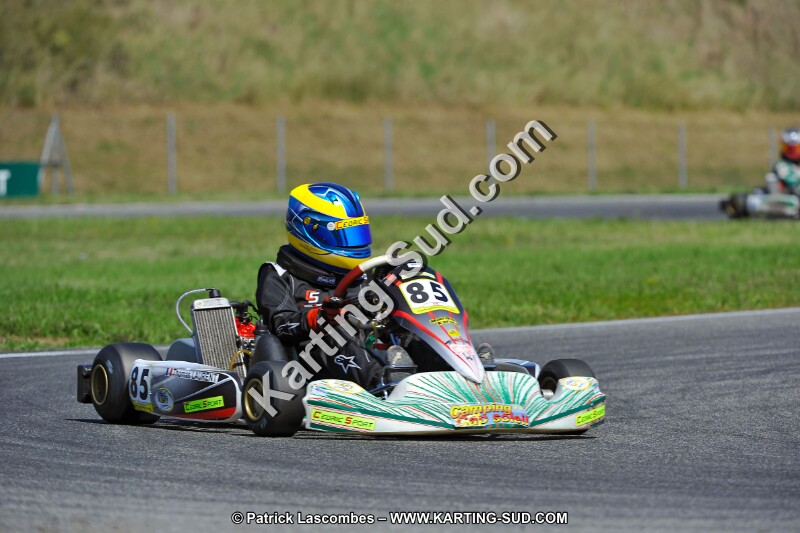 DSC_ (1396).jpg
